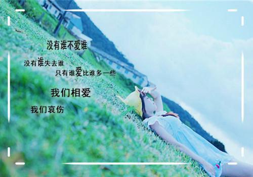 林念温沈榆北笔趣阁 已无风月也无你结局