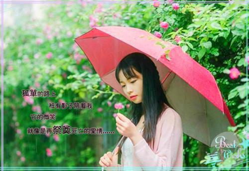 戴知寒的最新章节更新时间 贺挽意戴知寒笔趣阁
