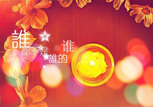 裴司衍苏知意的最新章节更新时间 落花时节又逢君在线阅读