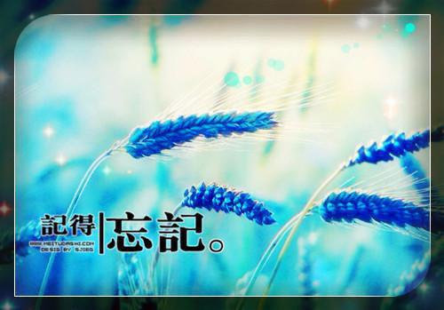 秦若笙沈寂川林素心免费阅读最新章节 明月盈来又亏去：番外免费阅读秦若笙沈寂川林素心小说