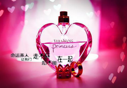 苏盈顾总许青卿最新章节更新时间 给公司签下一千多万的合同,我倒欠公司250全文最新更新内容