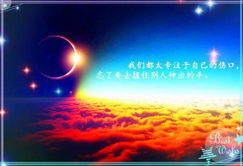 沈辞顾云舒大结局后续 候鸟忘归,我放你自由全文免费阅读