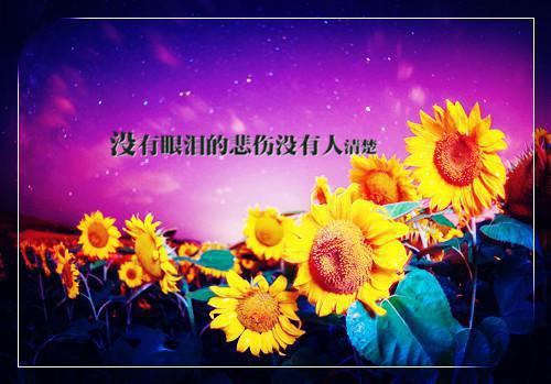 季宴桉周周小说免费阅读 哥哥你要捧杀我?后续知乎季宴桉周周