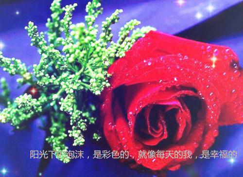 宋意晚陆沉远最新章节更新 宋意晚陆沉远小说宋意晚陆沉远免费阅读