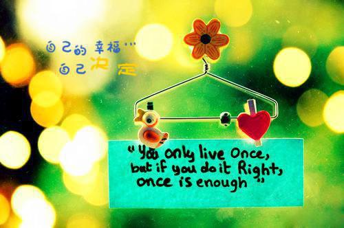 陆媛谢承韵陆焱顾白梁赫凡苏念念的最新章节更新时间 陆媛谢承韵原著在线阅读