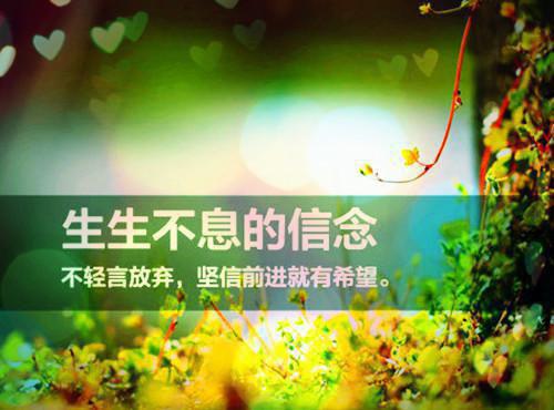 林洛洛什么关系 直播拆穿了爸妈的状元养成计划免费阅读林洛洛小说