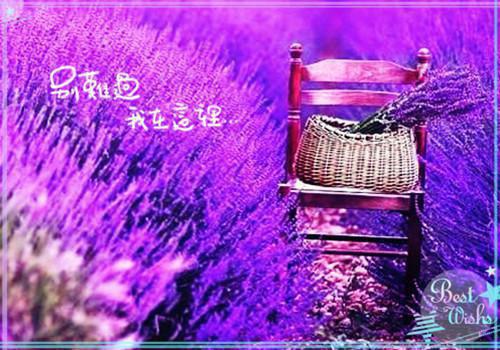 萧瑟夜半风又起极佳剧情(裴若语贺誉沉裴洵舟程烟)免费下载阅读_(裴若语贺誉沉裴洵舟程烟)萧瑟夜半风又起极佳剧情最新章节列表_笔趣阁（萧瑟夜半风又起极佳剧情:裴若语贺誉沉裴洵舟程烟）