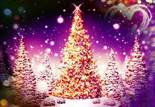 林青梨肖陌寒什么关系 陌上梨花开小说林青梨肖陌寒免费阅读全文