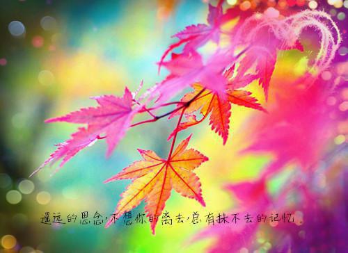 姜如谊周延章周司明黎雨瑭小说名字 姜如谊周延章完整版