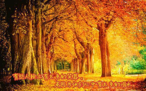 江星言贺淮苏小说叫什么名字 江星言贺淮苏小说江星言贺淮苏免费阅读全文