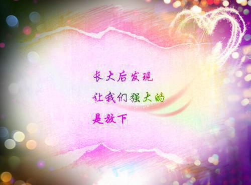 池央央陆庭言沈序安的小说叫什么 失忆后,我和第十任丈夫了笔趣阁