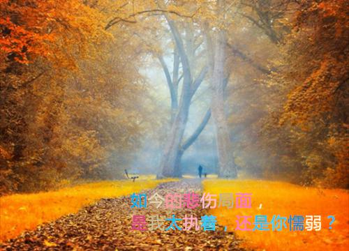 方卿卿秦易之岳芷柔最新章节列表 我拿命换的落户名额被男友送人后最新章节更新