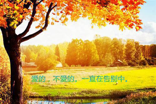 楚裳秋霍绍霆江清辞最新章节内容 春风如有怜花意小说完整版免费