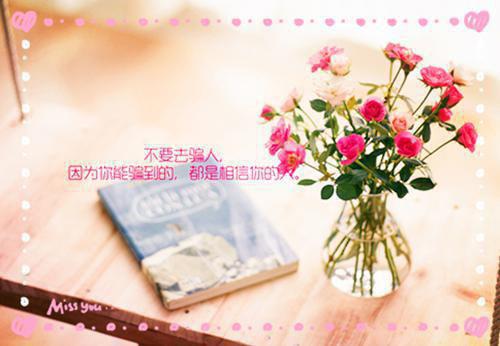 苏瑾妍谢忱小说免费阅读 所望皆星月免费阅读小说