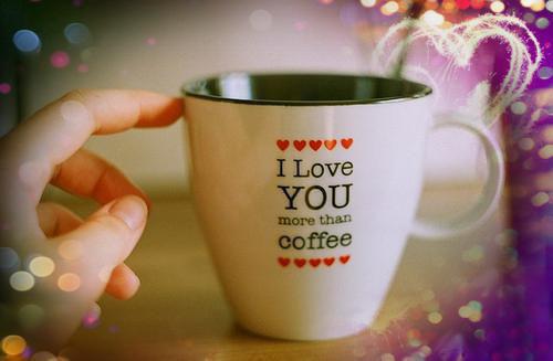 情非得已免费阅读全文,主角洛惜盛京沉小说完整版最新章节