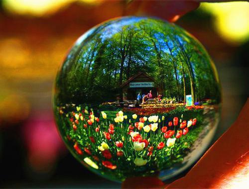 (番外)+(全文)折寒枝簪起霜思好文分享下载阅读_沈棠眠宋闻璟小说最新章节列表_笔趣阁（折寒枝簪起霜思好文分享）