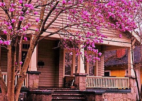 顾鹃廖清小说免费阅读最新章节 我攻略了霸总全家:后续顾鹃廖清全文