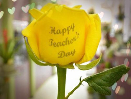 肖若若小雪小说名字 邪门的养女小说