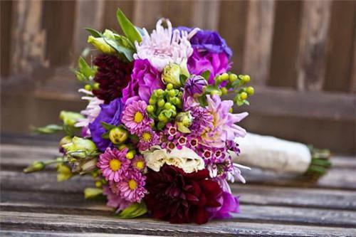 韩欣蕊霍宏涛小说叫什么 怨种金婚你拿走，我踹凤凰男嫁大院!短篇小说