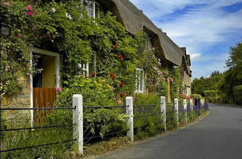 梁音江问免费阅读最新章节 梁音朝朝小说正版免费阅读