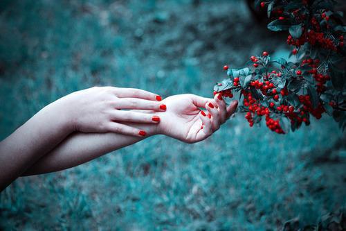 宋清音林春花最新章节更新时间 被佛女妈妈折磨死后,我重生在暴发户肚子里笔趣阁最新章节