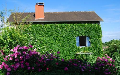 舒顾泽陆浠意和谁在一起了 陆浠意舒顾泽by佚名