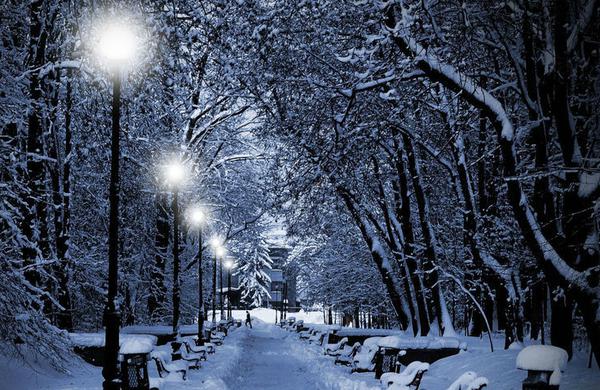 简妩陆西宴小说叫什么 无籍之徒小说完整版免费