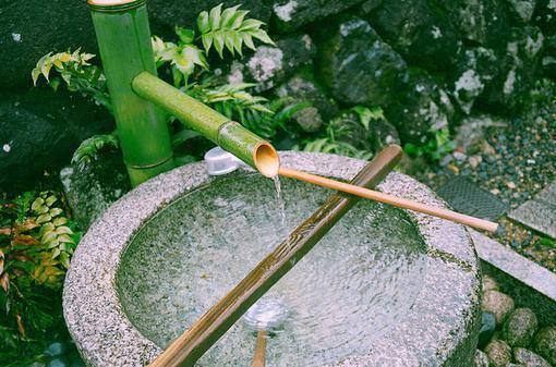 闻姑娘裴渡的最新章节更新时间 渡雪小说闻姑娘裴渡