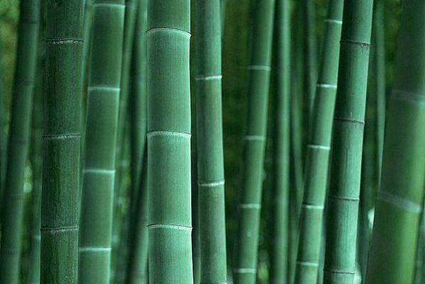 钟云汐厉寒霆欧阳听雪小说叫什么 朝花夕拾却已迟:后续知乎钟云汐厉寒霆欧阳听雪