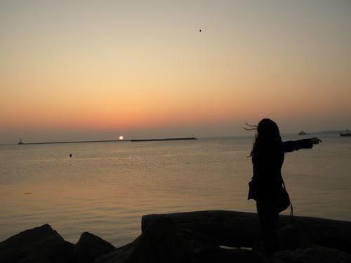 沈夏最新章节更新 我死后他们才爱上我（扑街）免费阅读