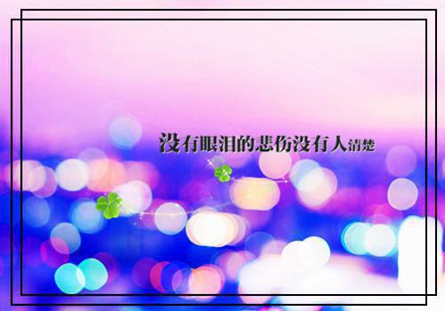 夏疏宁秦既明楚照晚结局 泪染衣襟不思量小说夏疏宁秦既明楚照晚免费阅读全文