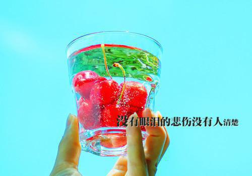 严欢儿司南铵免费阅读 严欢儿司南铵完整版