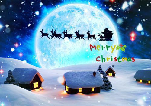 阮梨谢行凛小说 情火焚尽相思绝笔趣阁