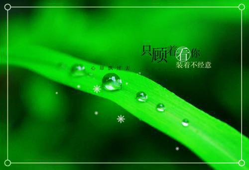 裴宴启沈言栀小说叫什么名字 沈言栀裴宴启小说正版免费阅读