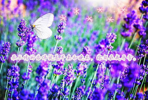 (番外)+(全文)大明：我为崇祯，缔造不朽帝国小说免费阅读下载_(李乾元朱由检王承恩)大明：我为崇祯，缔造不朽帝国最新章节列表_笔趣阁（李乾元朱由检王承恩）