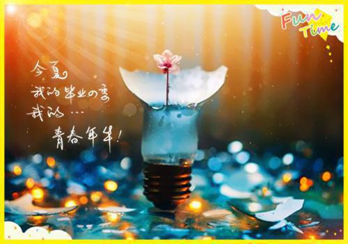 沈惊澜谢玄寂的最新章节小说 惊澜敛尽与君绝：后续知乎小说