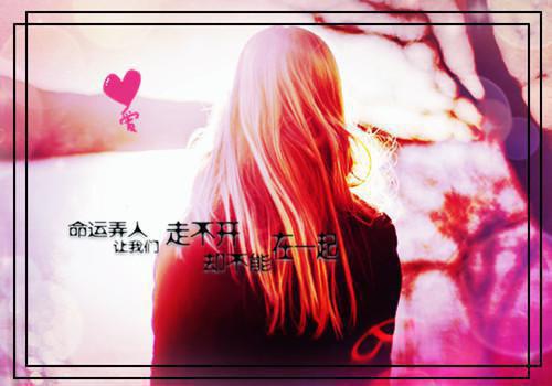 袁泽徐渊最新章节列表 入戏容易出戏难小说正版阅读