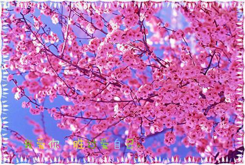 何时薇李哥江雁晨曦免费阅读最新章节 把我赶出公司后，下属悔疯了笔趣阁最新章节