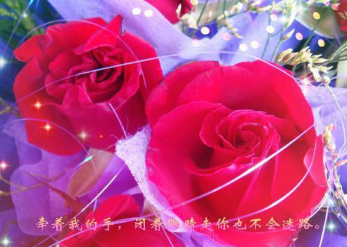 陆凝霜南宫烬（陆凝霜南宫烬夜隐）全文浏览_陆凝霜南宫烬全文免费阅读