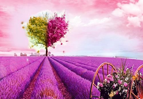 全本心动在遗忘之前（陈遇安林见薇）最新章节列表_全本心动在遗忘之前全文阅读