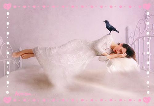 谢冉吴凯的小说叫什么 老公假死后，我送全家去打工完整版