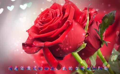 南音沈叙珩：+后续爱恨纠葛全文阅读（沈叙珩南音）最新章节_南音沈叙珩：+后续爱恨纠葛全文阅读