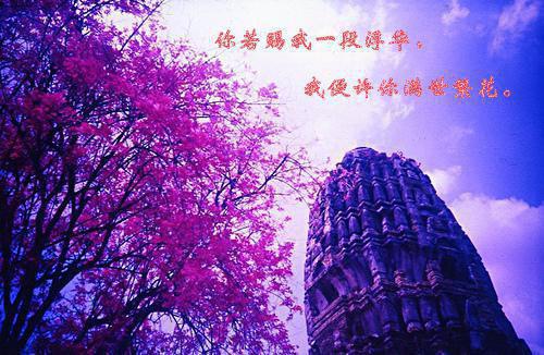 乔知微贺斯宴小说免费阅读 婚前引他失控by佚名