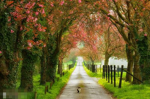周祁林飞小说名字 室友想当我爸，作进监狱悔疯了结局