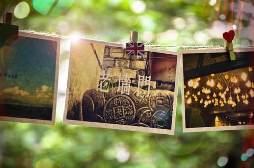 全文浏览玉兰花开君再来（萧慎秦嘉蕊）_玉兰花开君再来（萧慎秦嘉蕊）全文结局