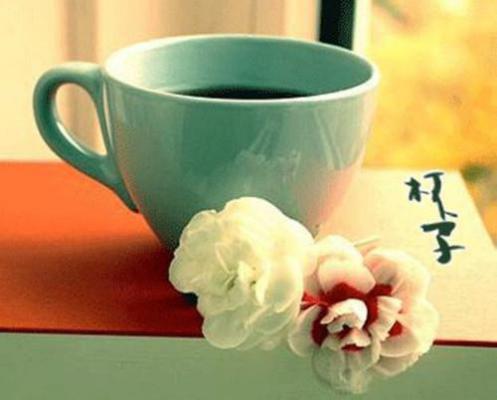 顾廷萧沈若妍小说在线阅读 他成了皇帝后，第一件事就是娶我笔趣阁最新章节列表