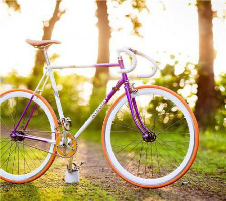 褚怀谦秦婉宁(给他一场寂静的雪崩：+后续+结局)全文免费阅读无弹窗大结局_(褚怀谦秦婉宁)给他一场寂静的雪崩：+后续+结局免费阅读无弹窗最新章节列表全文阅读（给他一场寂静的雪崩：+后续+结局）