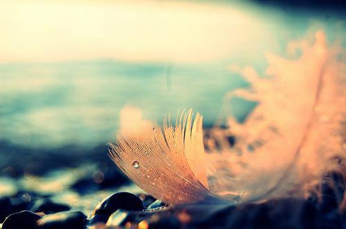 陈招娣沈清岚沈娇娇小说免费阅读 归途家女陈招娣沈清岚沈娇娇全文