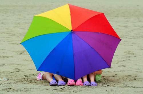 沈黎顾荣川最新章节更新时间 沈黎顾荣川笔趣阁