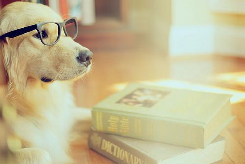 苏南枝顾江淮的最新章节更新时间 顾江淮苏南枝小说苏南枝顾江淮免费阅读